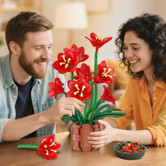 PLAXSOON 503-piece set emphasizes durability for long-lasting display