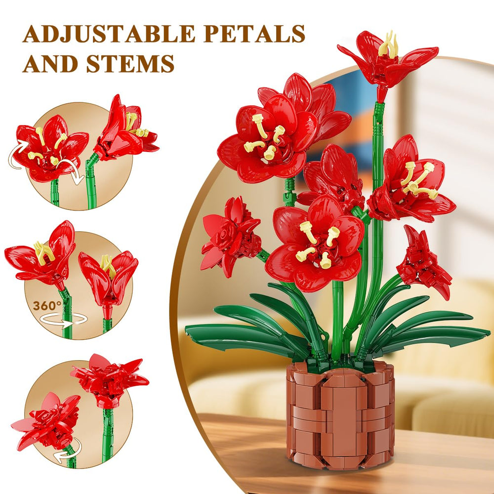 PLAXSOON Amaryllis bonsai blooms showcase vibrant petals and lush greens