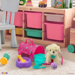 Play22 Plush Puppy Doll Set gift-ready packaging for birthdays