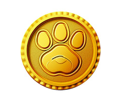 Playful Minds PAW Patrol dig block open reveals coins.