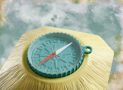 Hummingbirds, rattlesnake, and turtles enrich the Wiltopia wildlife set.