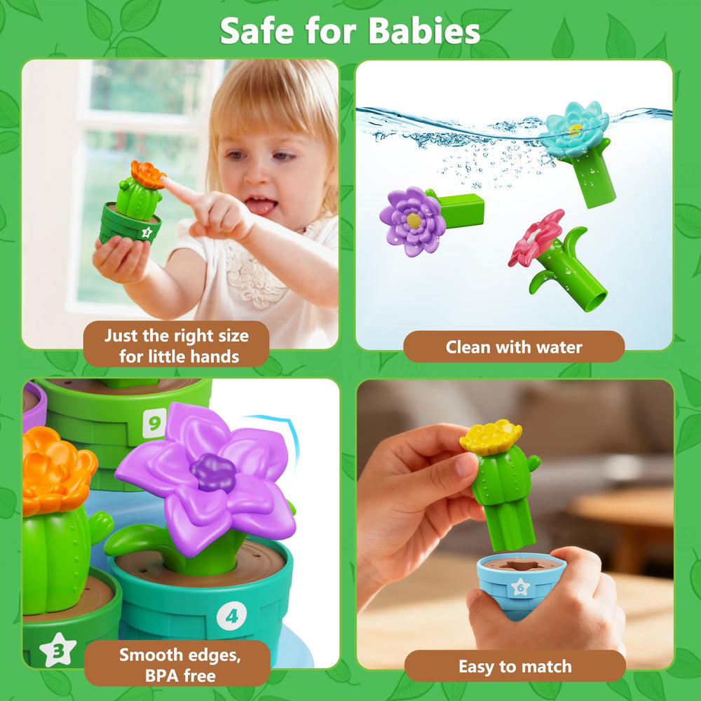 Plunack color-shape sorter aids color recognition and early matching.