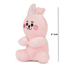 PLUSHIFY BTS member-5 plush as a keepsake