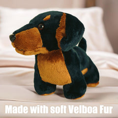 PMS Sausage Dachshund Plush Toy close-up shows detailed mouth and nose.