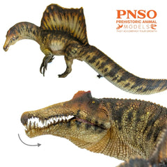 PNSO Spinosaurus 35 Essien eco-friendly materials for safe, responsible display and learning.