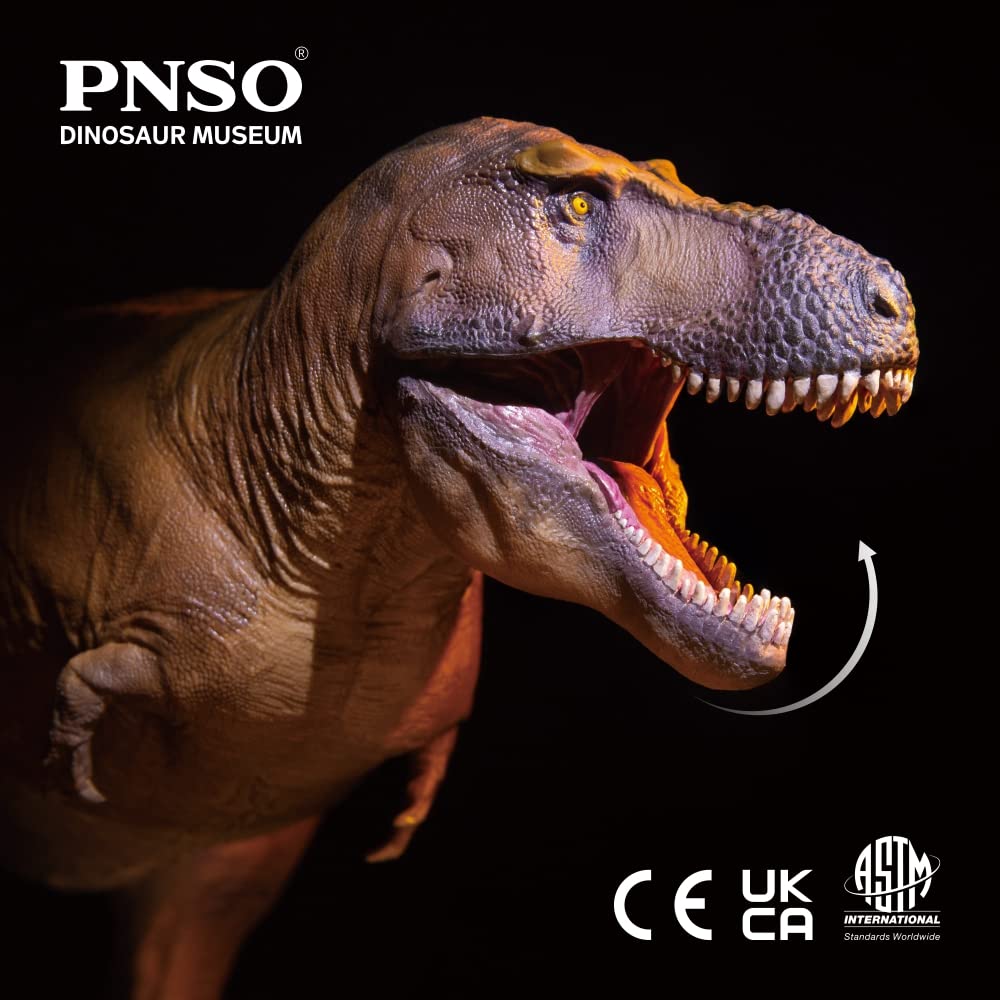 PNSO Cameron Tyrannosaurus supports storytelling and classroom use.