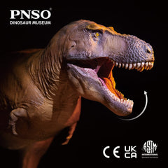 PNSO Cameron Tyrannosaurus supports storytelling and classroom use.