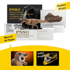 PNSO educational posters and manuals accompany the model for learning.