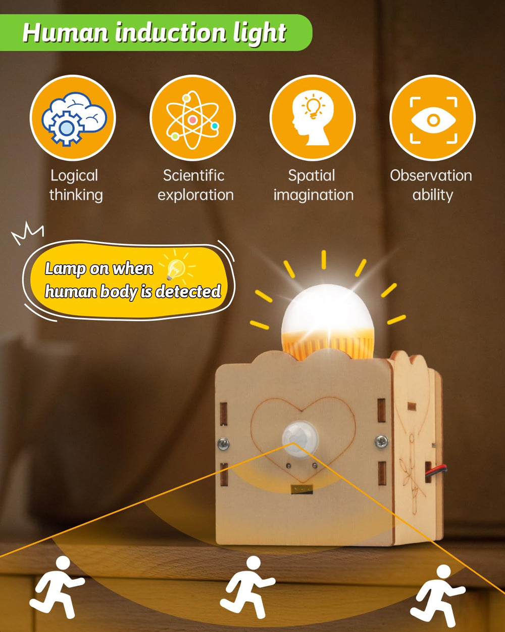 Poraxy wooden 3D puzzle kit; precise laser-cut parts for easy building.