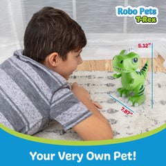 Power Your Fun Robo Pets T-Rex charging kit with battery and USB charger.