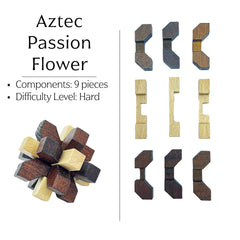 Project Genius wooden disassembly puzzle 1 with multi-step solution