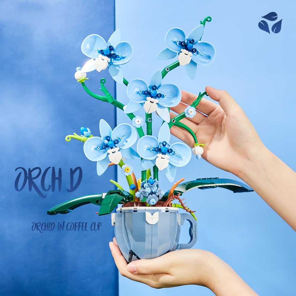 QFJ Gift-ready orchid kit for special occasions