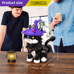 QFJ Ideas Harry Magic Cat Model packaging box ready for gifting