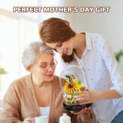 QLT QIAOLETONG detailed instructions guide easy assembly for all ages.