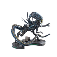 QMx Aliens Queen Q-Fig Max Elite seven-inch presence enhances shelf display.