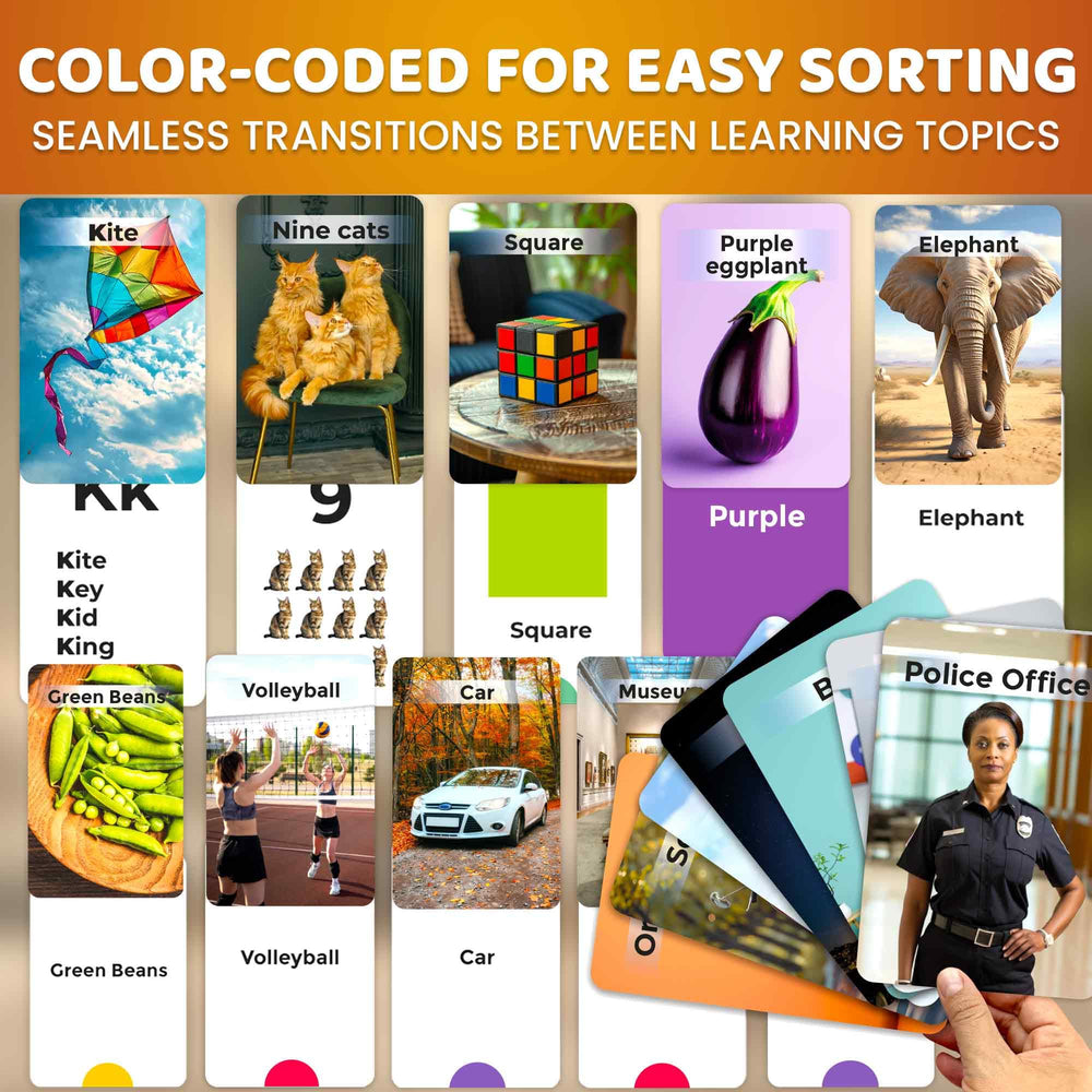 QUOKKA 260 flash cards colors visuals enable quick color matching explorations.