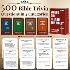 QUOKKA Bible Trivia Card Collection close-up of 500 questions for study