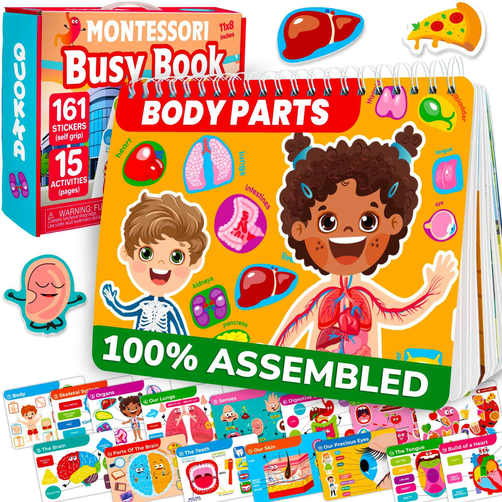 QUOKKA Human Body Busy Book cover with vivid anatomy scenes for curious kids