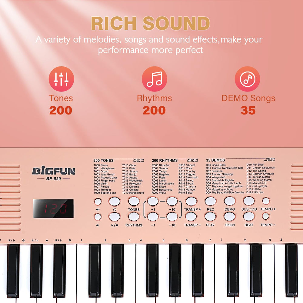 Raimy keyboard with microphone input ready for interactive performances