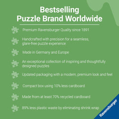 Ravensburger Cats and Succulents artwork by Brigid Ashwood features modern cat and succulent motifs.