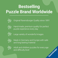 Ravensburger Puzzle Assembly Beginners XXL 100 PC puzzle easy start for early learners.