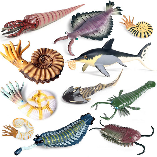 RCOMG Anomalocaris figure for classroom display and imaginative marine learning
