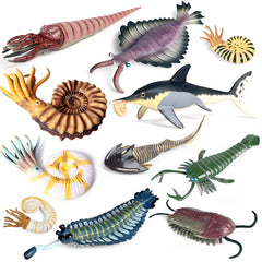 RCOMG Anomalocaris figure for classroom display and imaginative marine learning