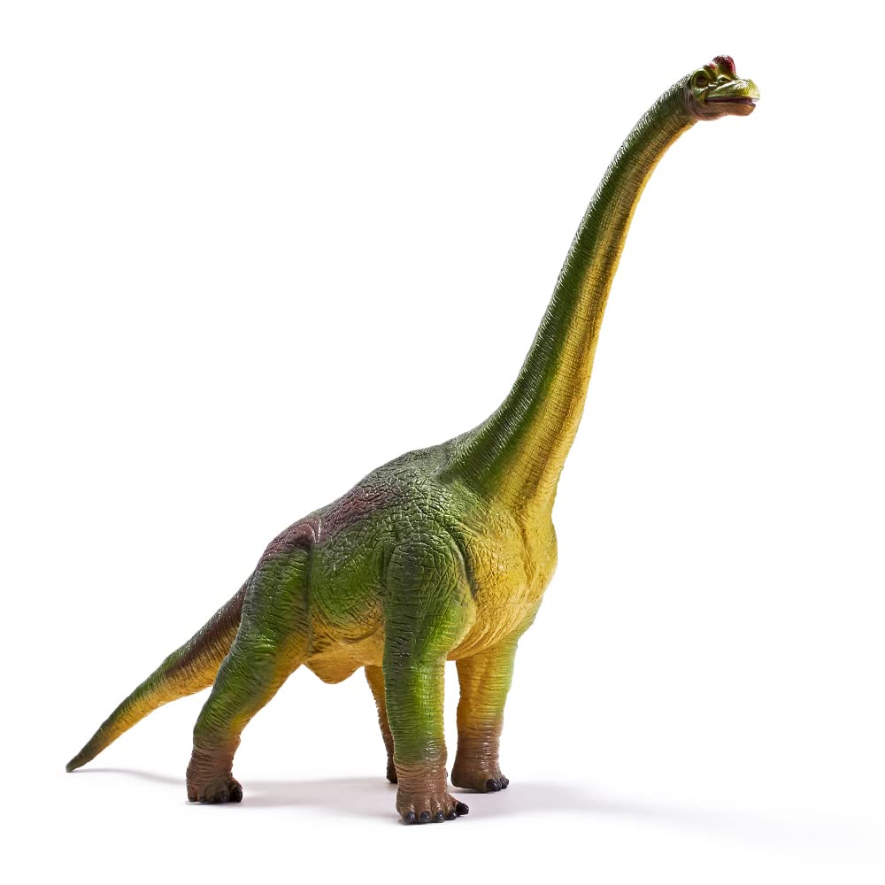 RECUR jumbo brachiosaurus side view showing life-like scale for creative play