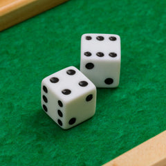 Regal Games Shut The Box travel-ready setup, compact and portable for game nights