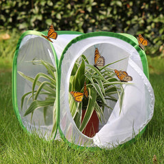 RESTCLOUD monarch habitat mesh panels promote airflow during butterfly rearing.