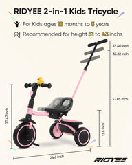 RIDYEE tricycle safe design with rounded edges