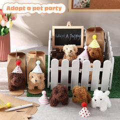 Rigibright birthday hats pack enhances celebration and photo moments.