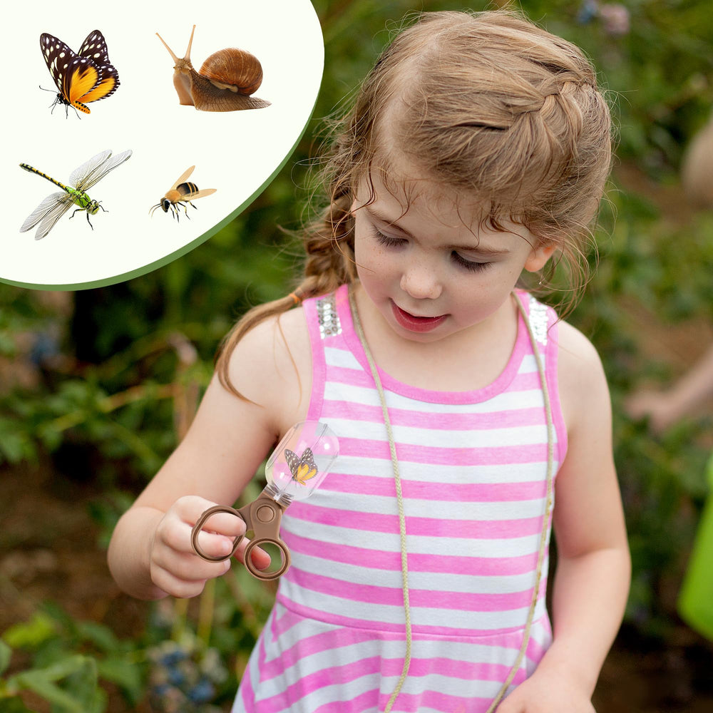 ROBOTIME identification cards duo, learn about insects and plants outside.
