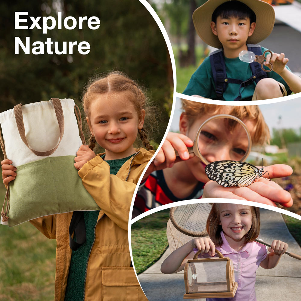 ROBOTIME Kids Explorer Kit insect boxes for organized study