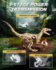 ROKR Velociraptor amber eyes and sharp teeth create a striking display.