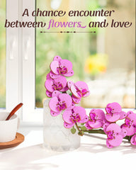 rowood purple moth orchid gift adds elegant botanical charm