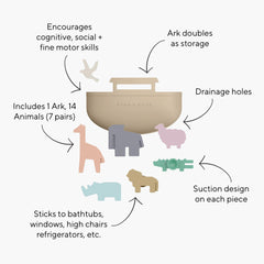 Ryan & Rose Noah's Ark animals arranged to support cognitive play.