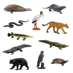 Safari Ltd Everglades TOOB snail kite figure supports curiosity about marsh bird habitats.