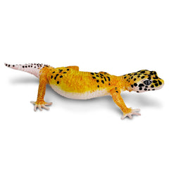 Safari Ltd. Leopard Gecko Figurine 7 inches long fits classrooms and home dioramas.