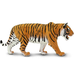 10.5 inch scale model for classroom demonstrations and play