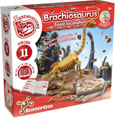 Science4You Brachiosaurus dig kit overview shows a ready-to-excavate fossil experience.