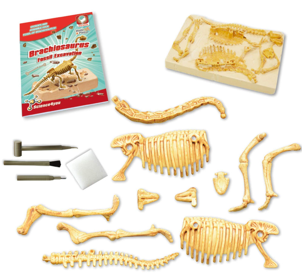 Science4You educational book included supports curiosity with bite-sized science context.