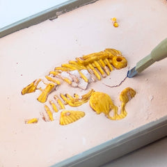 Science4you excavated pieces reveal the complete Stegosaurus fossil
