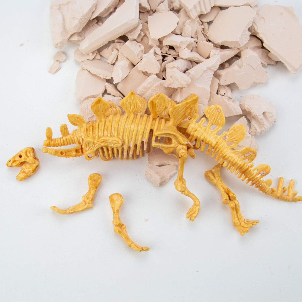 Science4you assembled fossil image shows the final display after digging