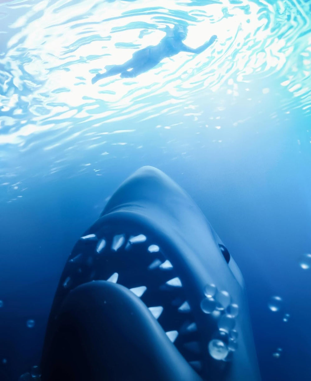 SD TOYS room decor shark art evokes nostalgia