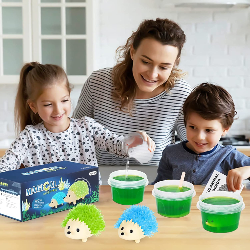 Sdaymol Kids science activity kit inspires imaginative learning.