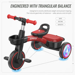 SEREED Tricycle rear basket detail, detachable for sharing snacks