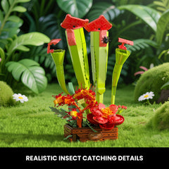 SHAREHB Carnivorous Plant Set sundew close-up highlights interactive display and curious learning