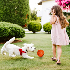 Shindel lightweight design makes kids comfortable to carry