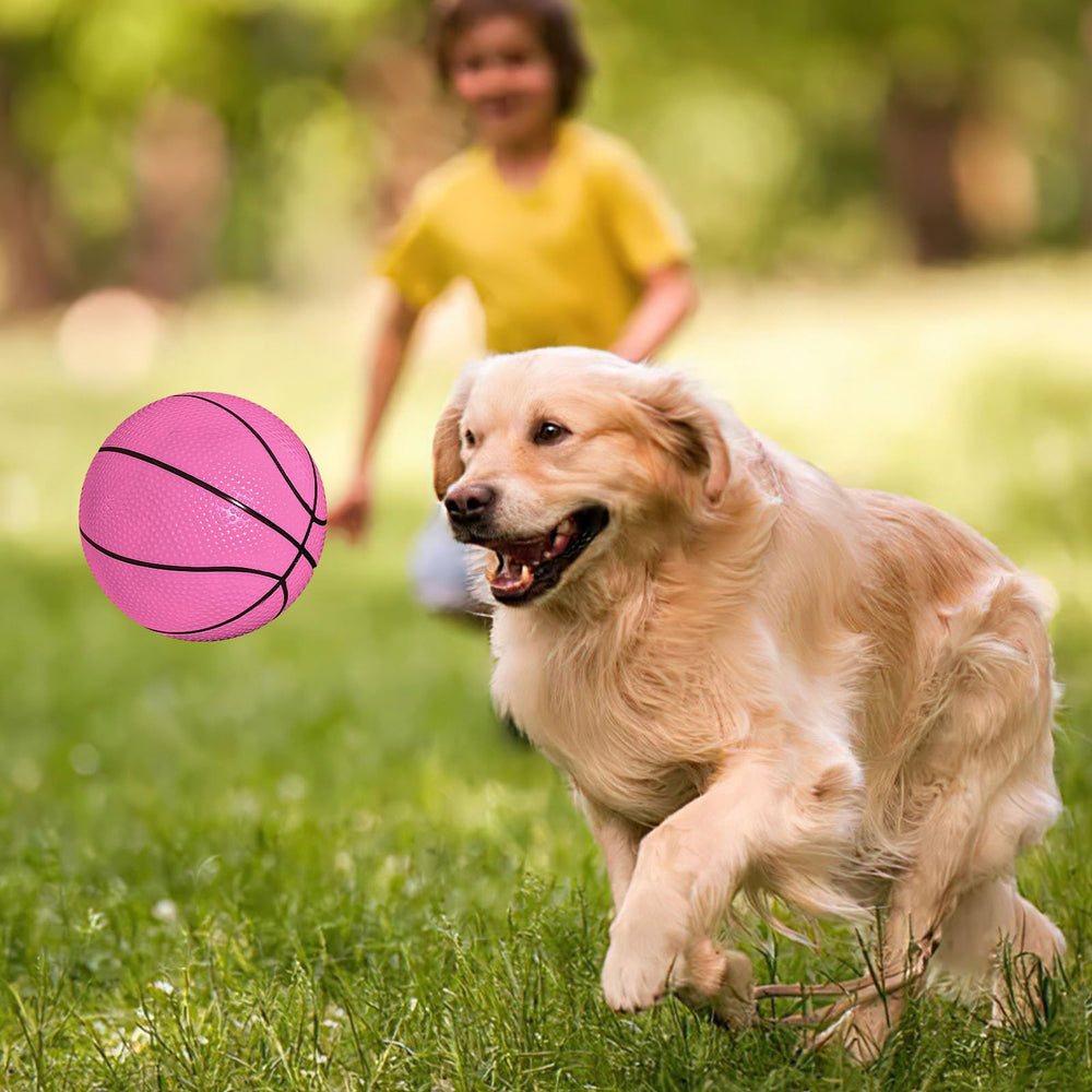 Shindel mini basketballs ideal for garden and playground activities.